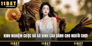 Kinh nghiệm cược đá gà