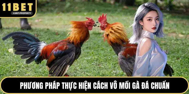 Phương pháp thực hiện cách vô mồi gà đá chuẩn