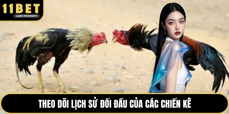 Theo dõi lịch sử đối đầu của các chiến kê
